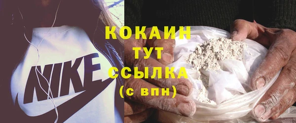 сатива Арсеньев