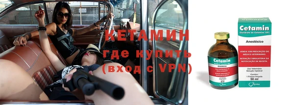 сатива Арсеньев