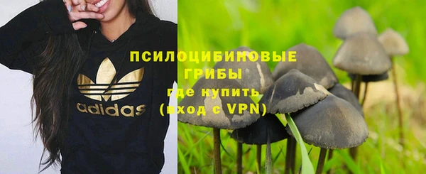 сатива Арсеньев
