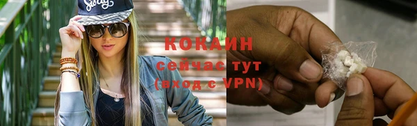 сатива Арсеньев